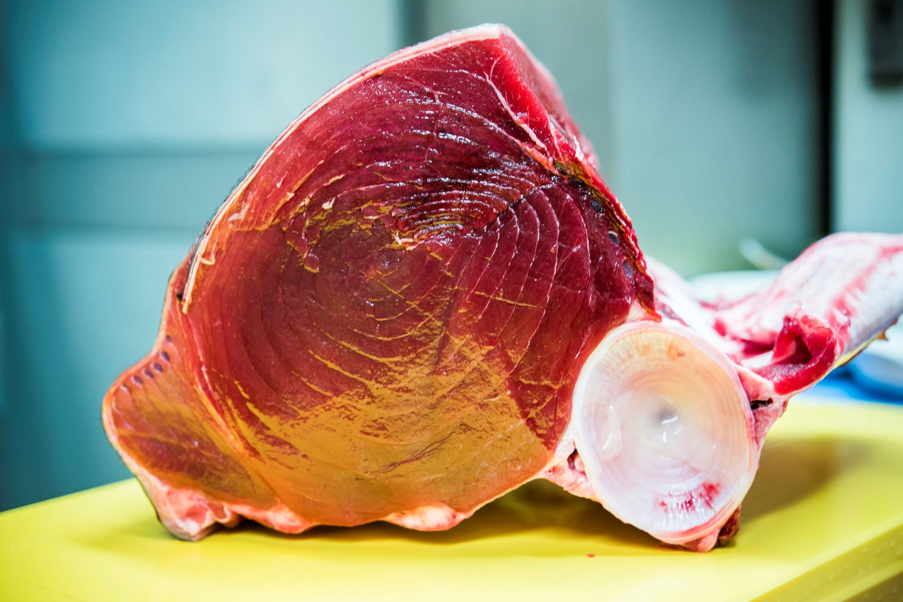 Atun Rojo Almadraba en Ponzano Madrid