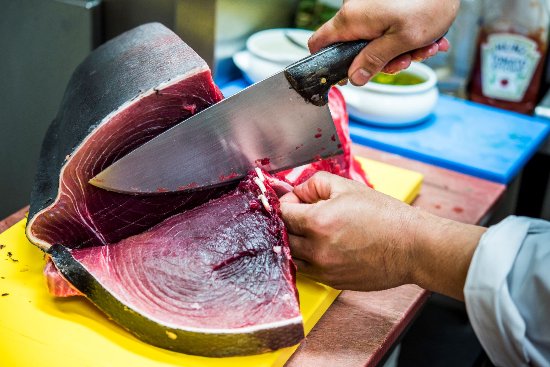 atun_rojo_ronqueo_ponzano_madrid_2