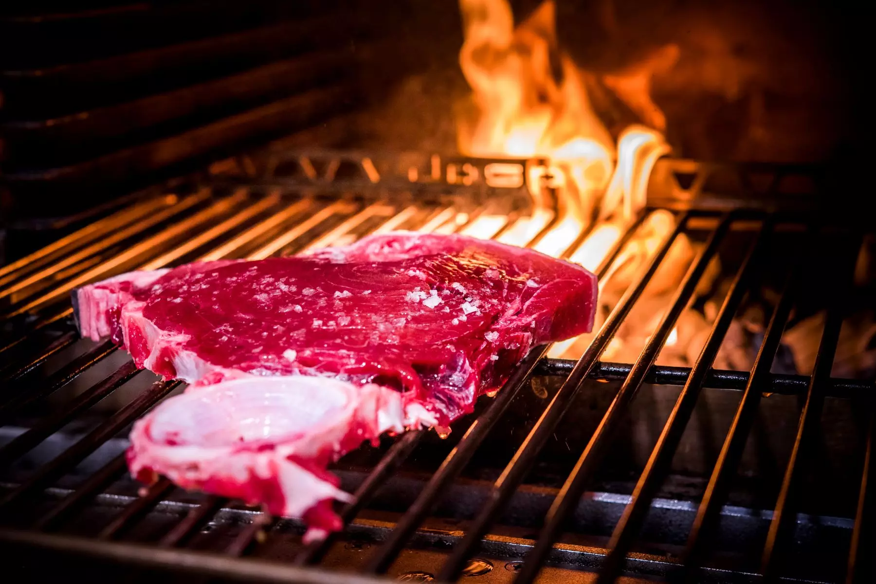 atun_rojo_ronqueo_ponzano_madrid_3