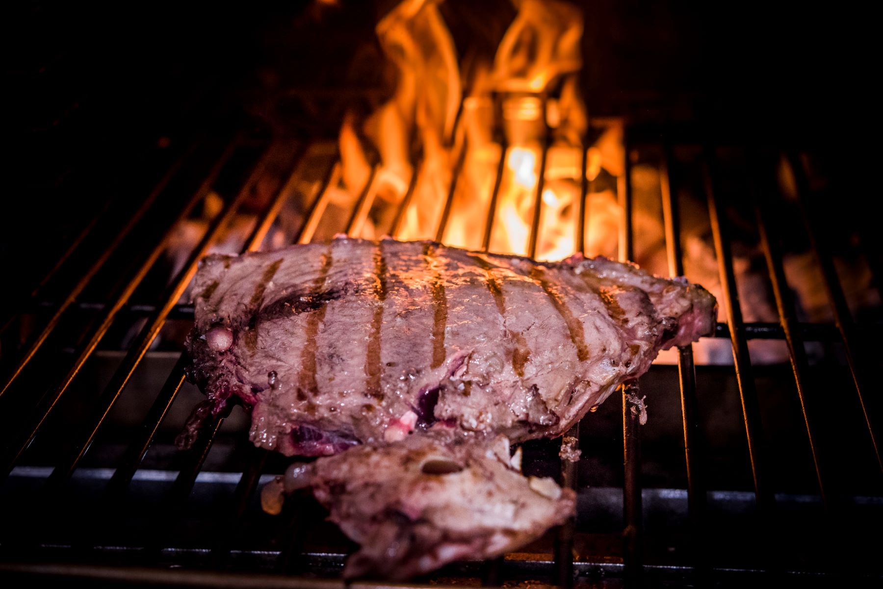 atun_rojo_ronqueo_ponzano_madrid_4